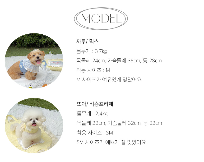 Check Frill Cool Harness [Lemon] S-XXL