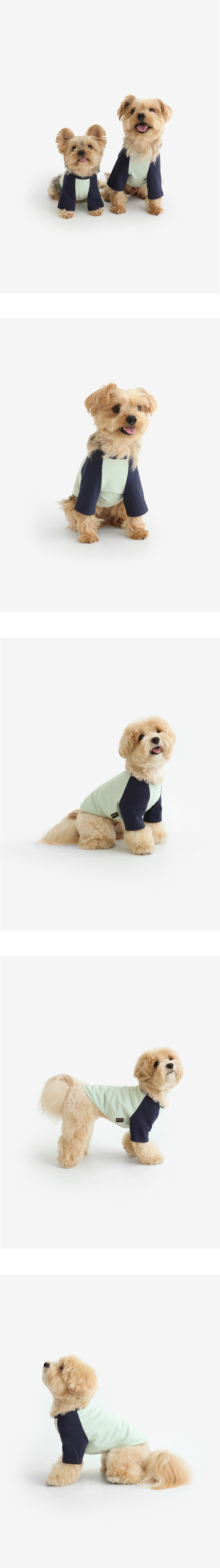 [3XL 추가] 래글런 티셔츠 (Mint)