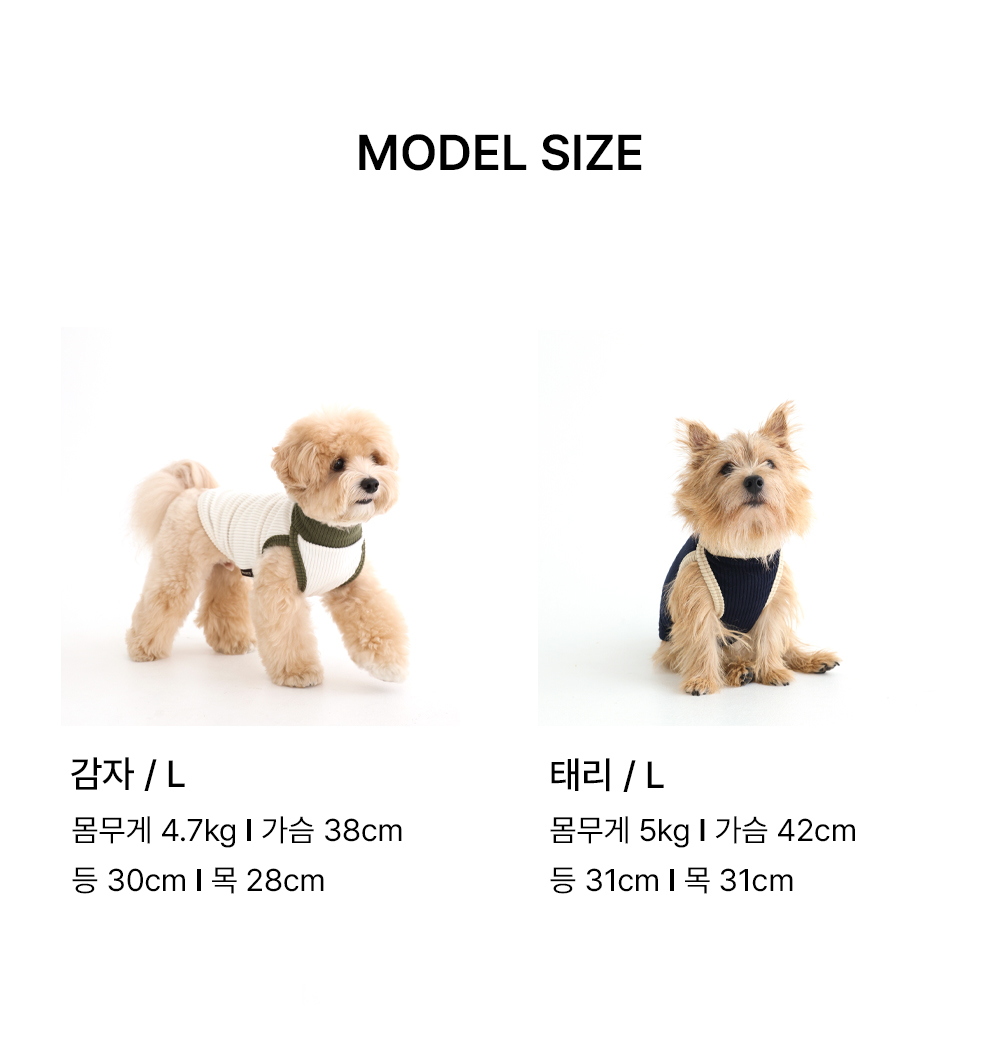 반폴라 골지 티셔츠 (Navy)