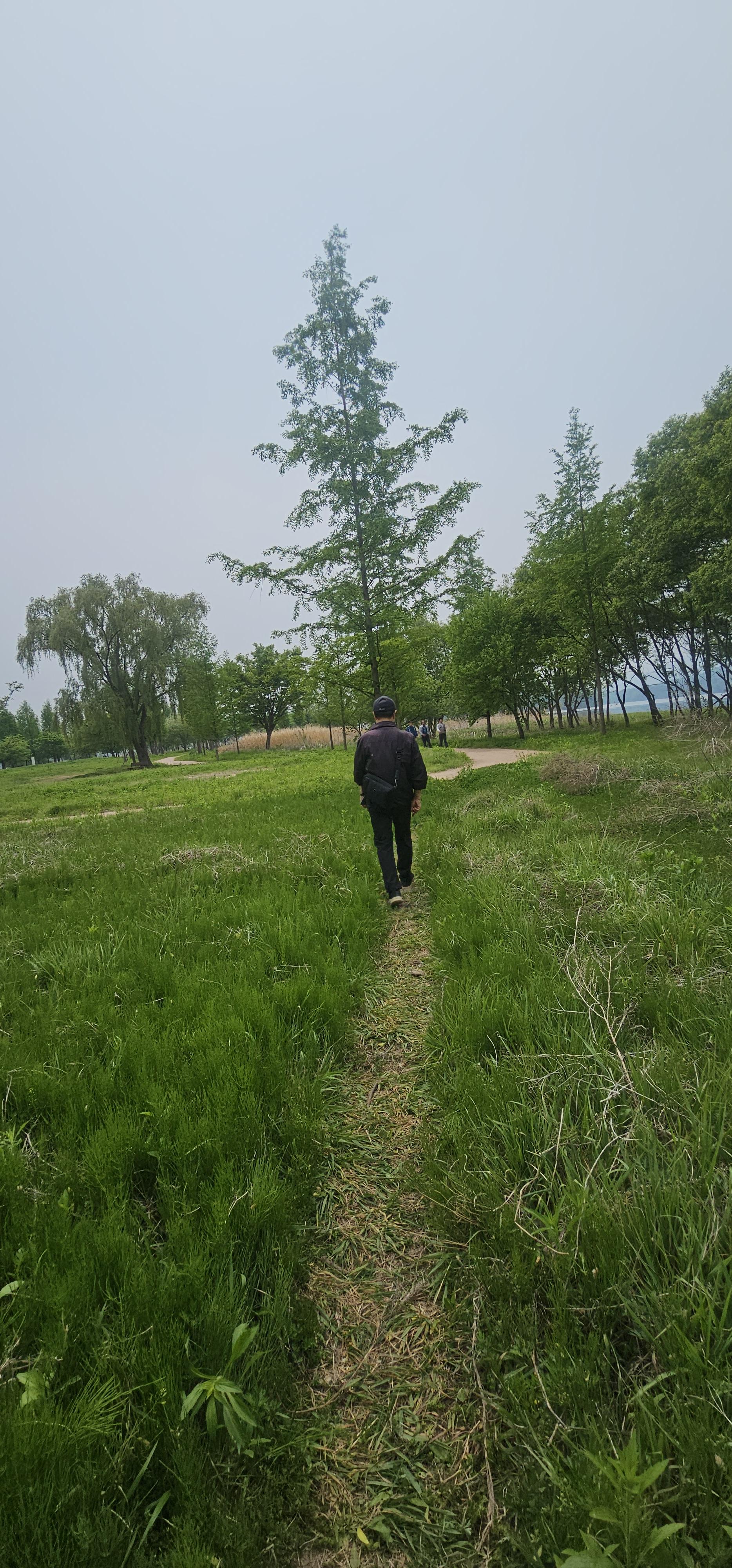 a4d23b190809b.jpg
