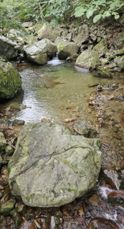 ade000c374f46.jpg