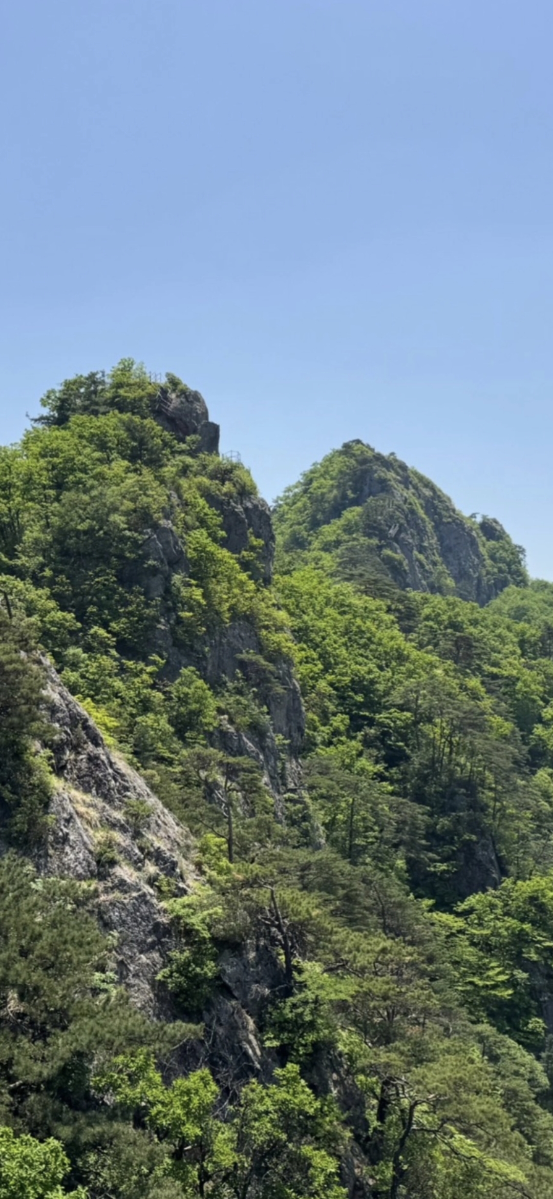e1d62f324e047.jpg