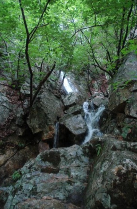 ef3c9f3c2a210.jpg