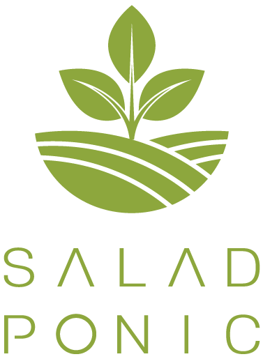 SALAD PONIC | 신선한 원물, 샐러드포닉