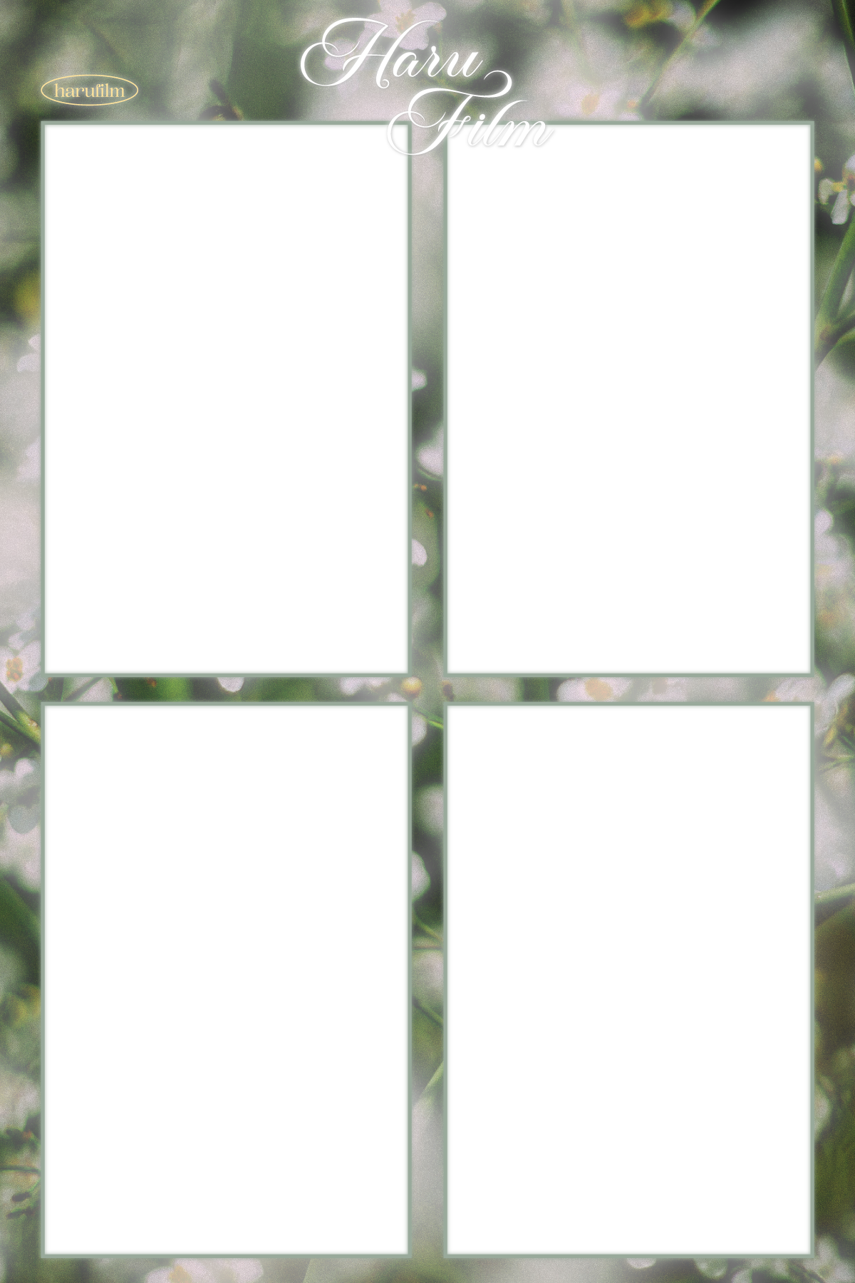 da6b6945789e3.png