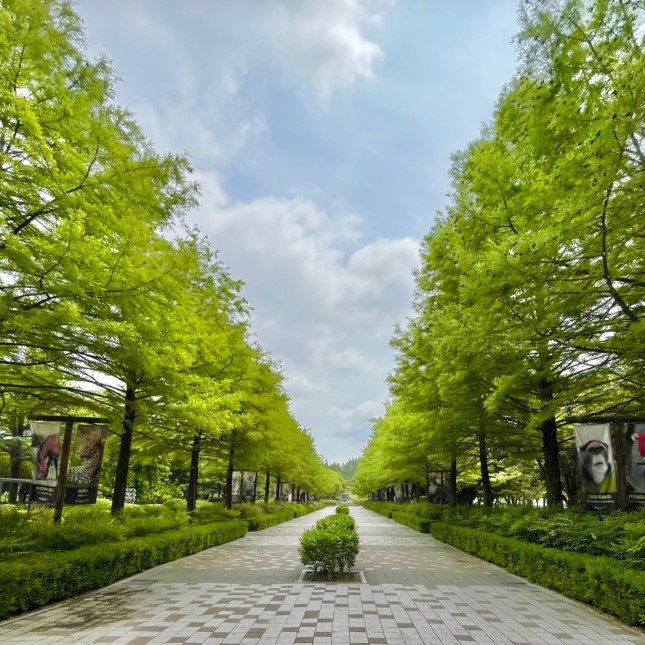 전주동물원, 추석 연휴 정상 운영