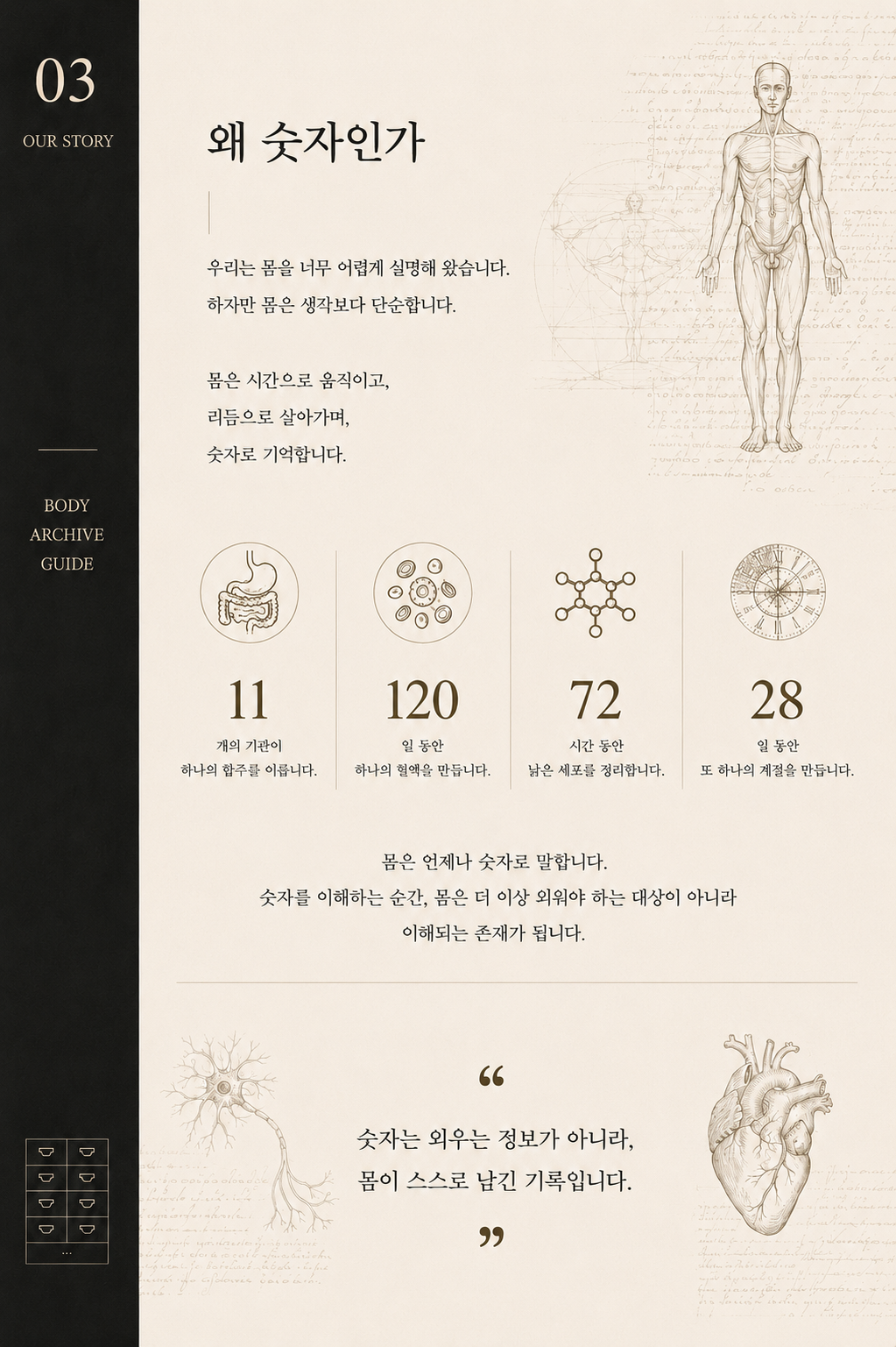 숫자로 보는, 인체사전_6편