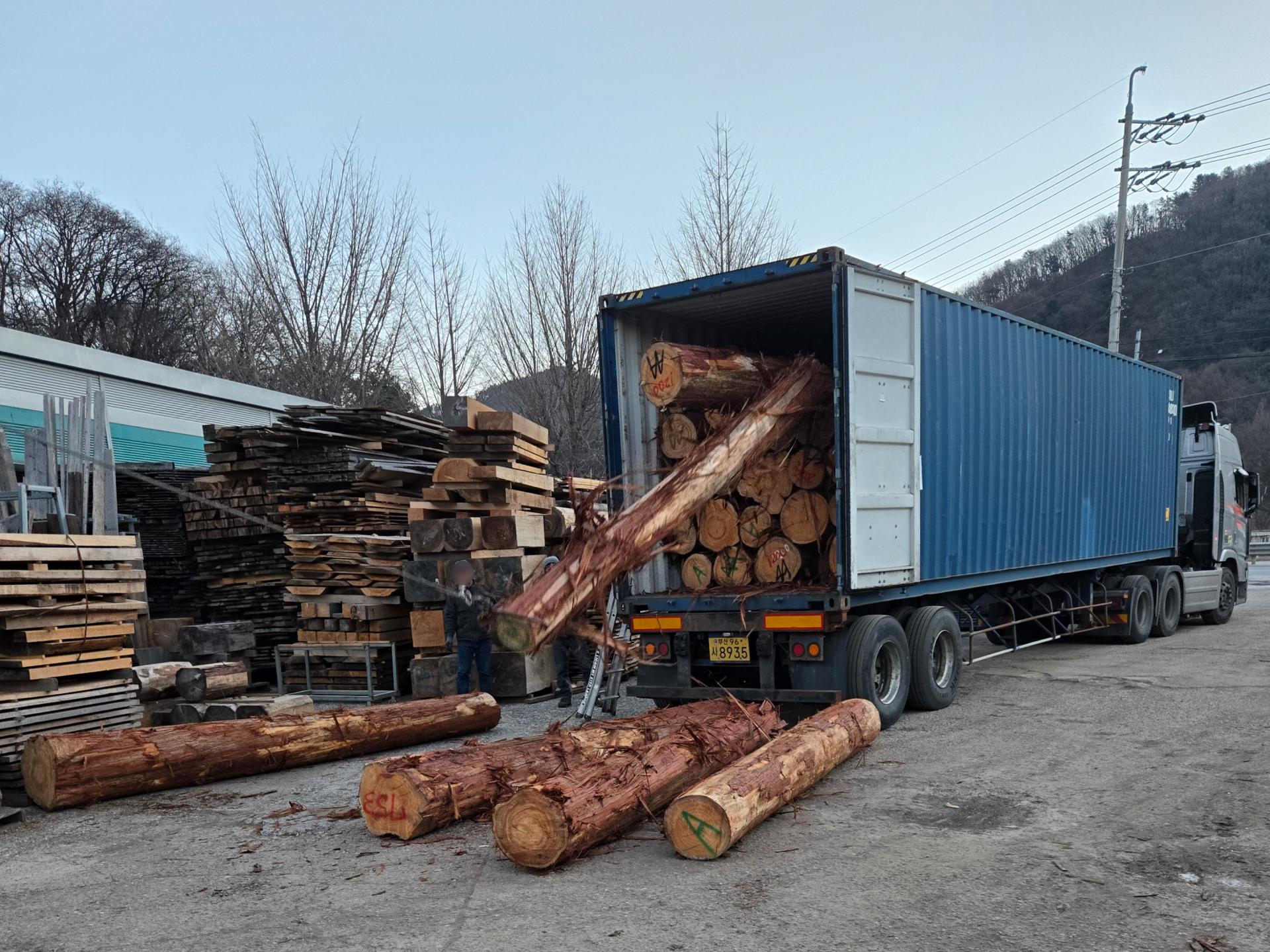 61690d9ececbd.jpg