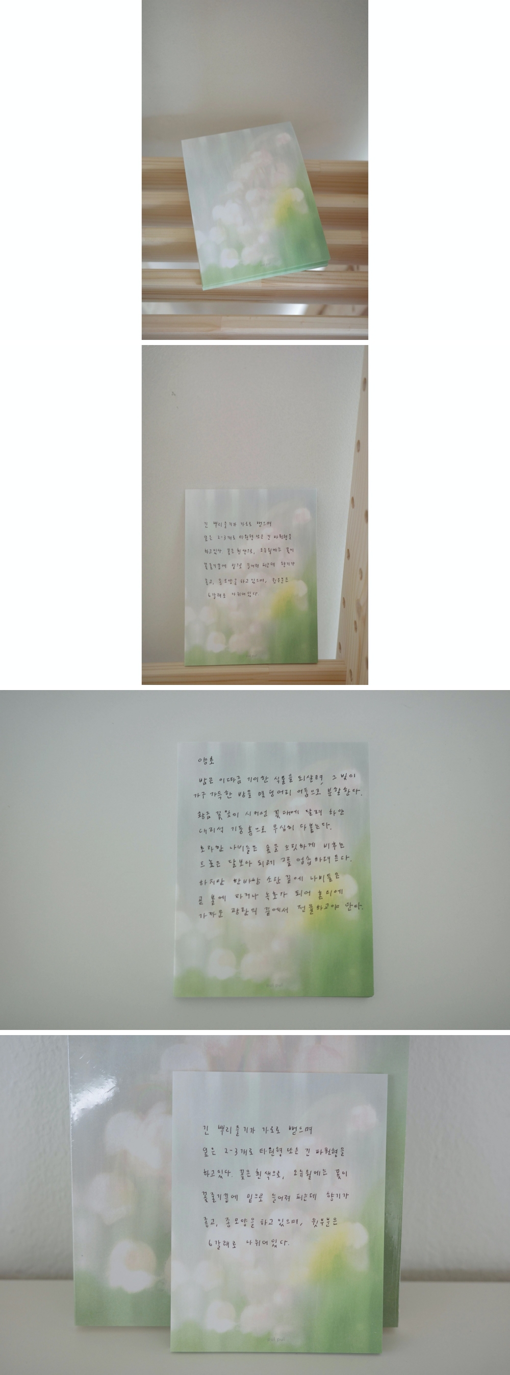 [풀풀] 분홍 은방울 메모지