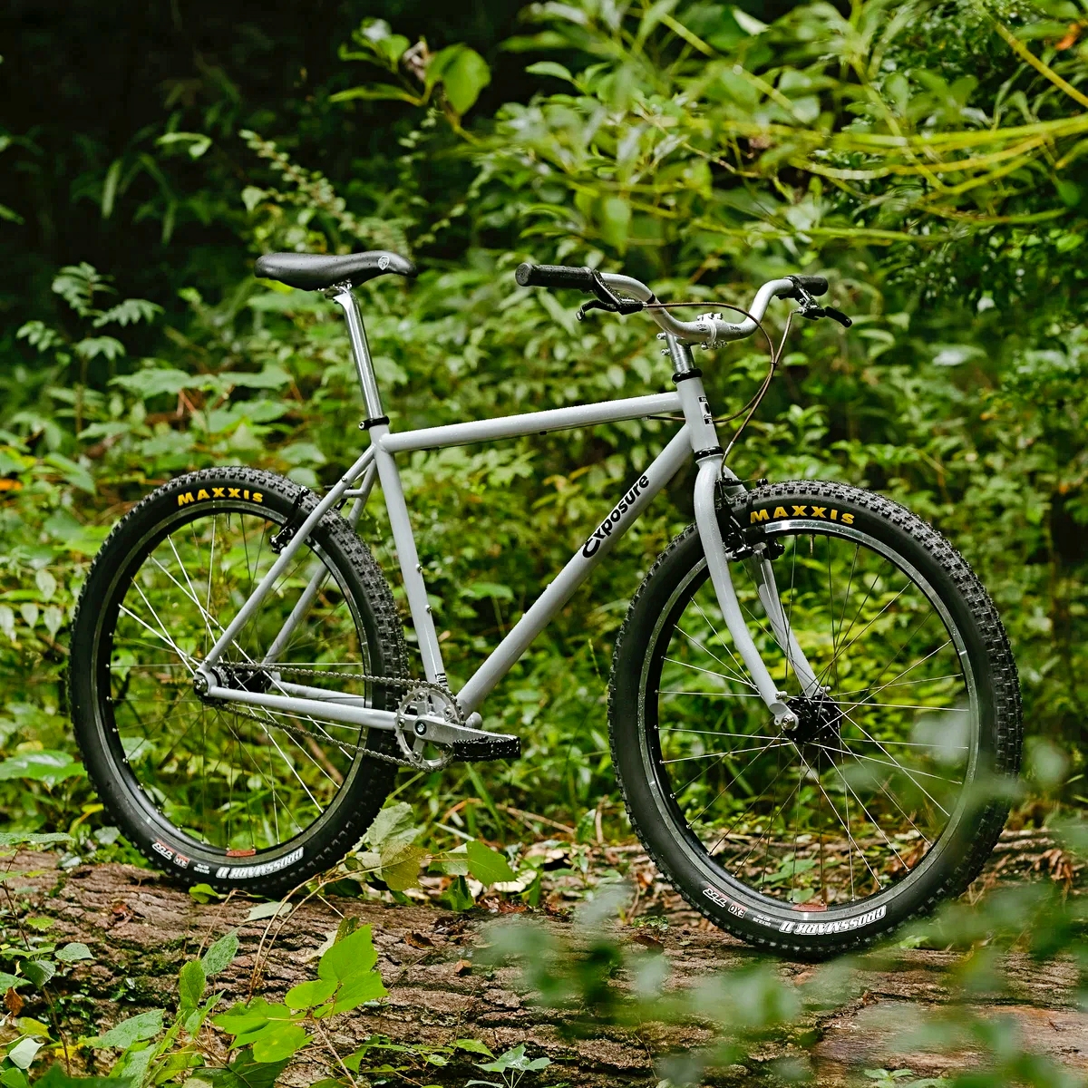 RAL Exposure - Trail Commuter Frame Set