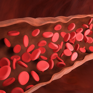 광양자 조사 (UV-C)