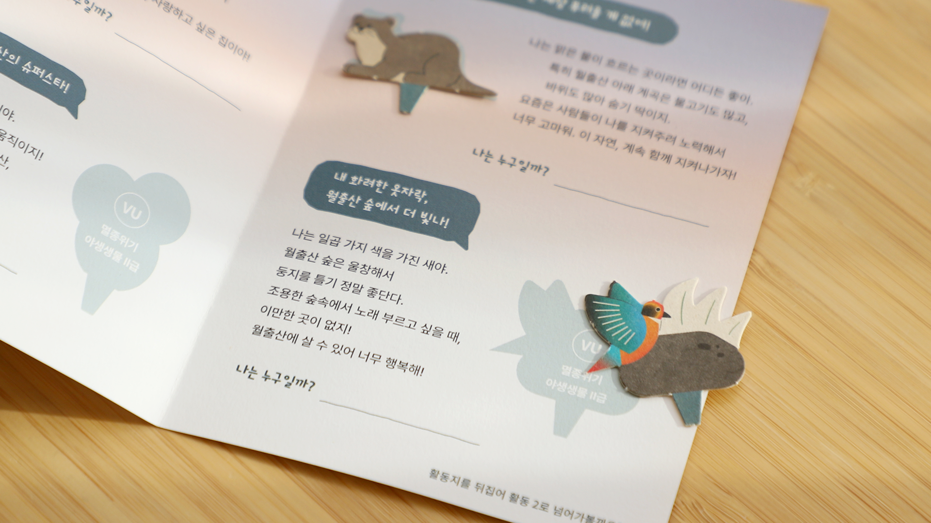 a009c608bd949.png