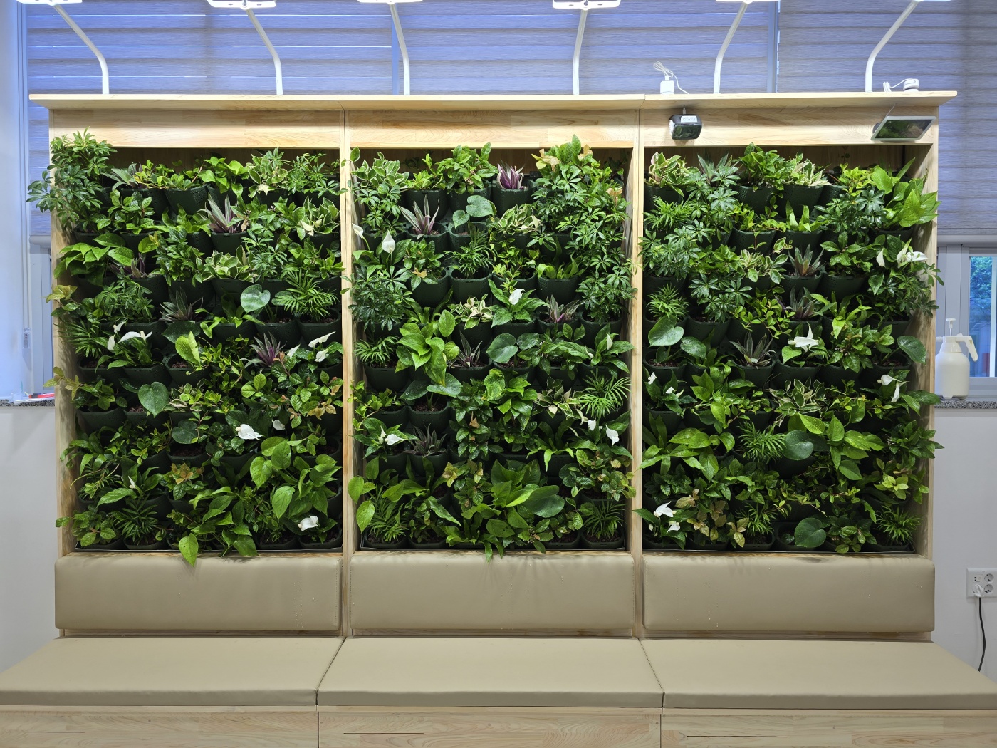 638637d6c34e8.jpg