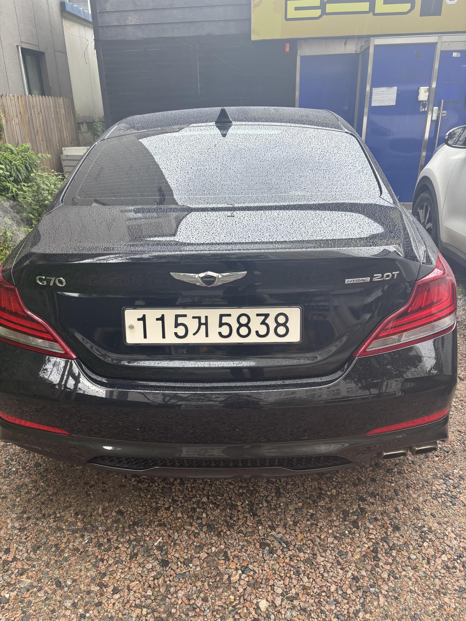 8197d22241fca.jpeg