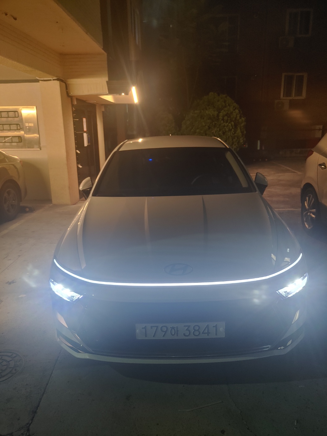 9033168847db8.jpg