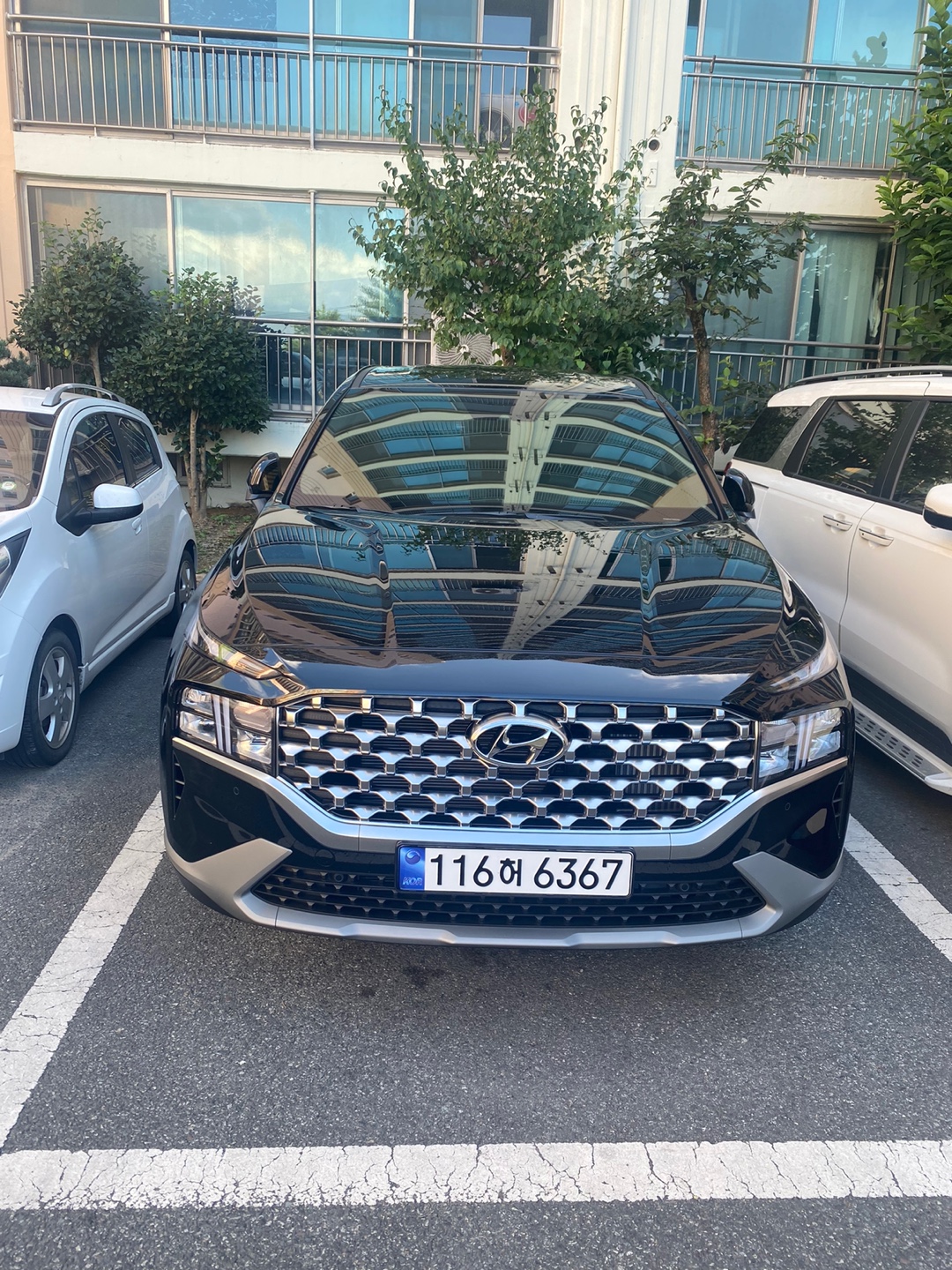 d11dd04489003.jpg