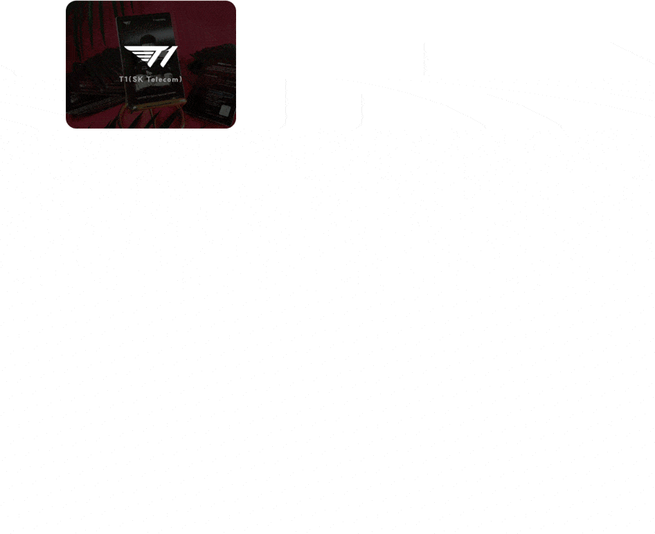 골덴로드 주요 고객사2 : SKT T1, 한국게임산업협회 G-STAR, The Palace73, 사우스스프링스CC, 광동프릭스, OPGG, DonJulio, 편강한방연구소