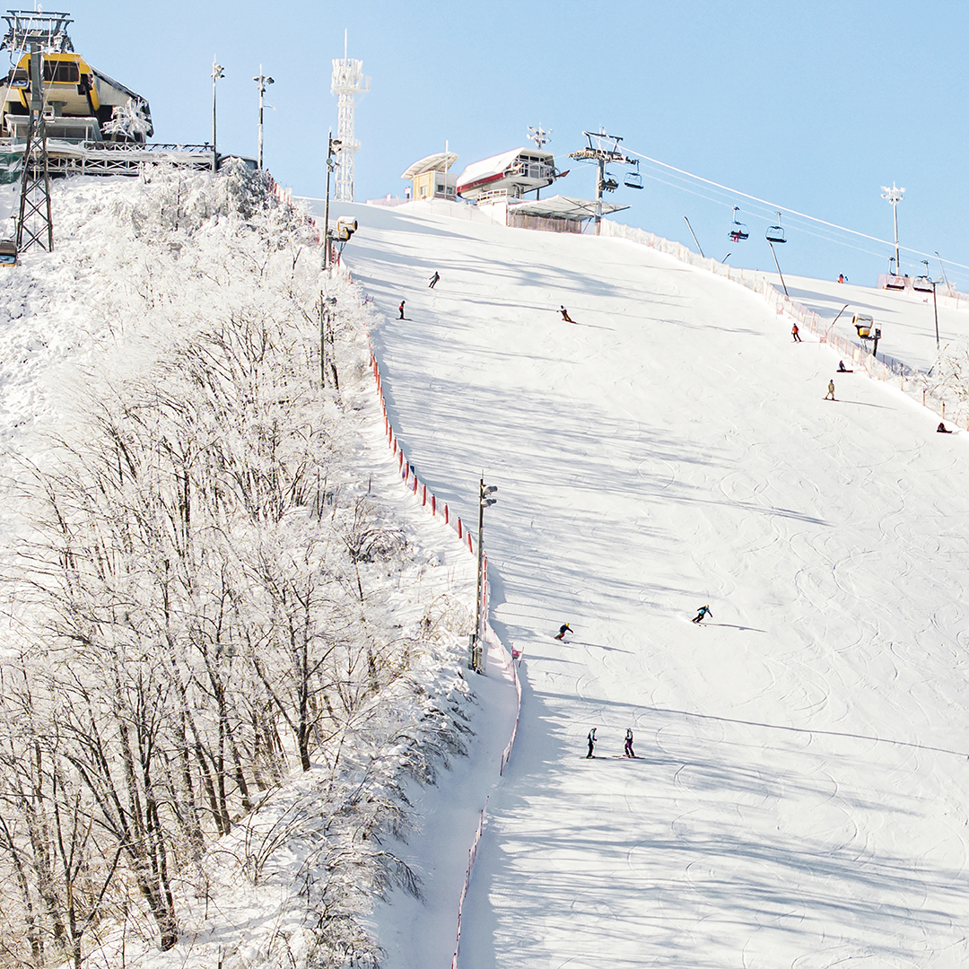 YONGPYONG PRIVATE SNOWBOARD LESSON