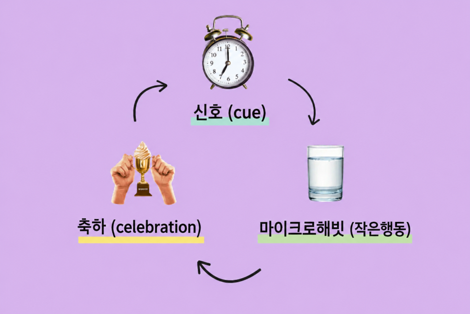45842bdf688e1.png