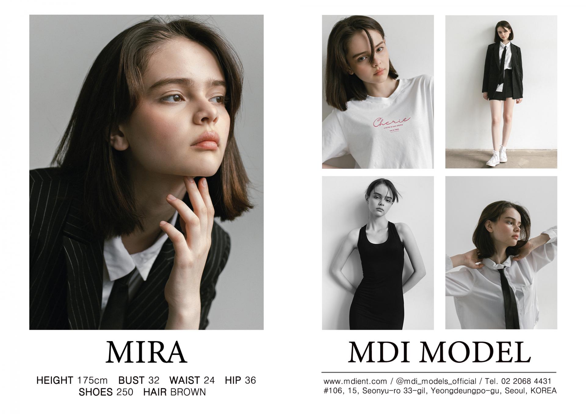 MIRA MDI Model Management