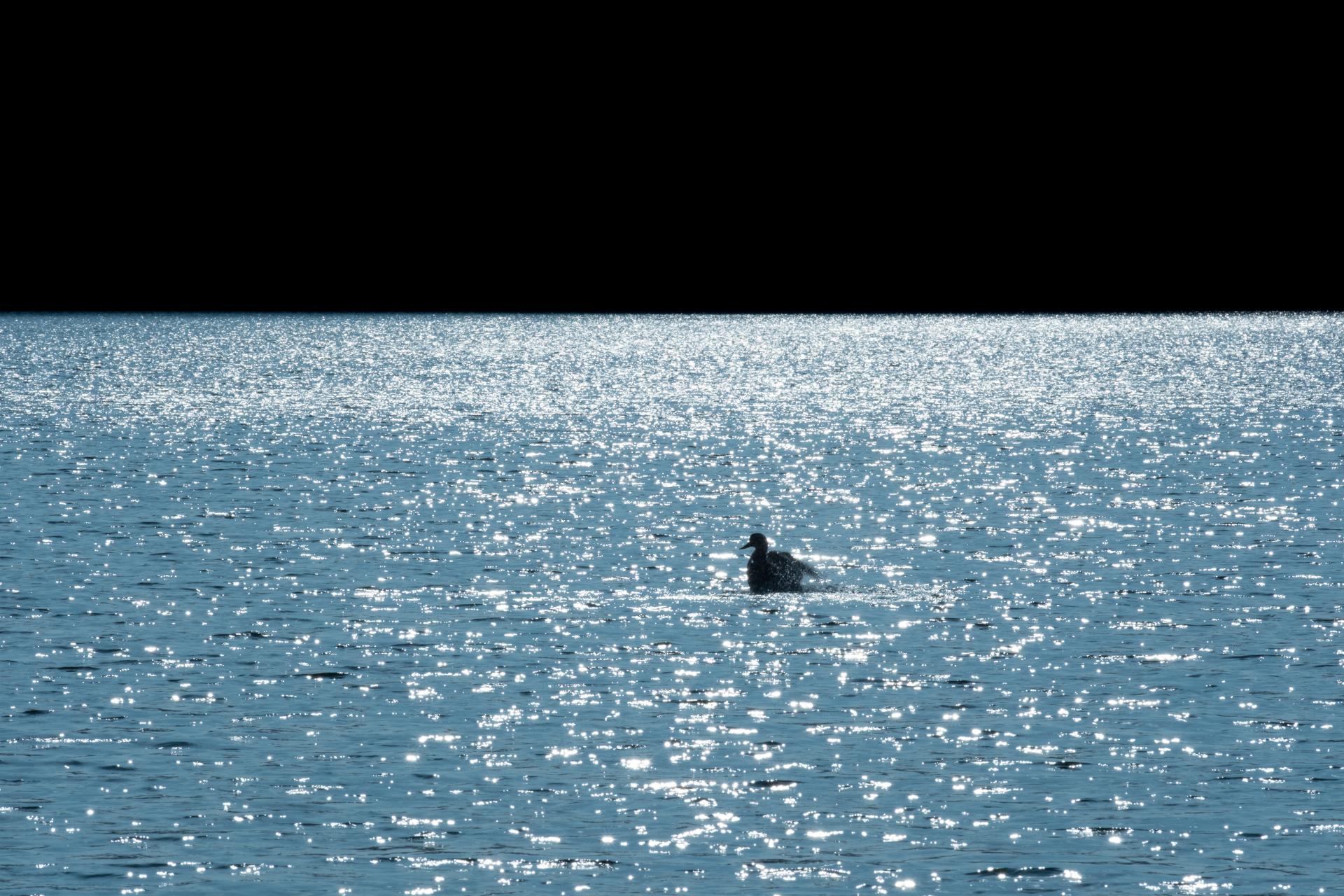 향유하기 위해_59.4 x 84.1 cm, Hahnemuhle Photo Rag.jpg