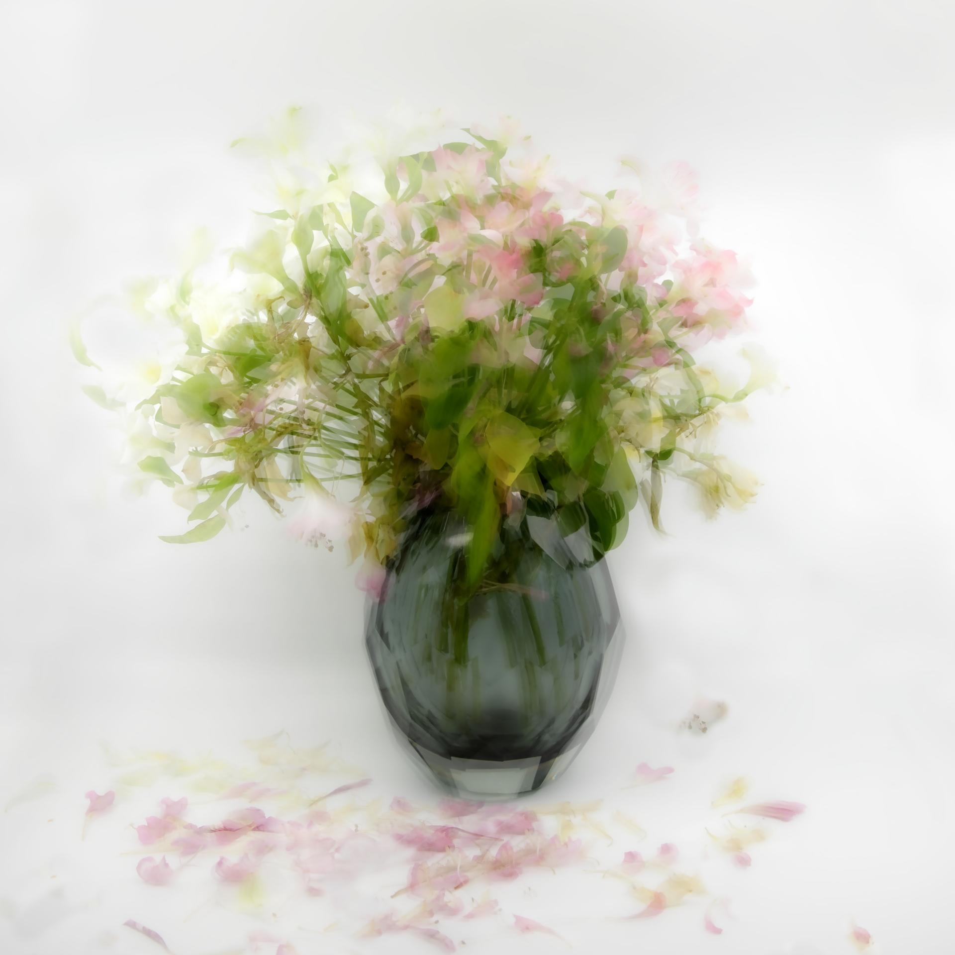 최희자_flower2.jpg