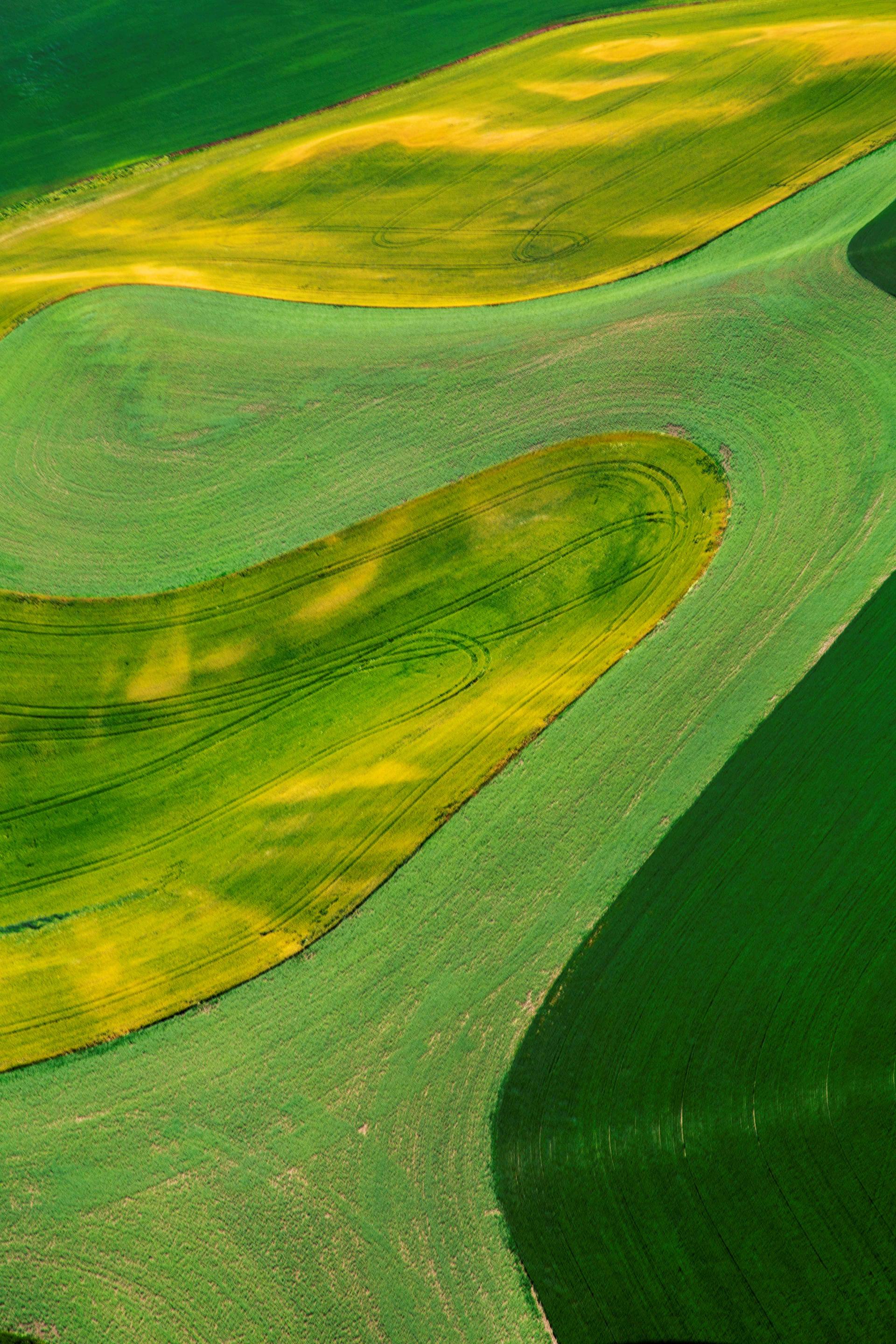 Earth, Becoming Painting #2608 Archival Pigment Print, Canvas 50 x 75cm, 20~.jpg