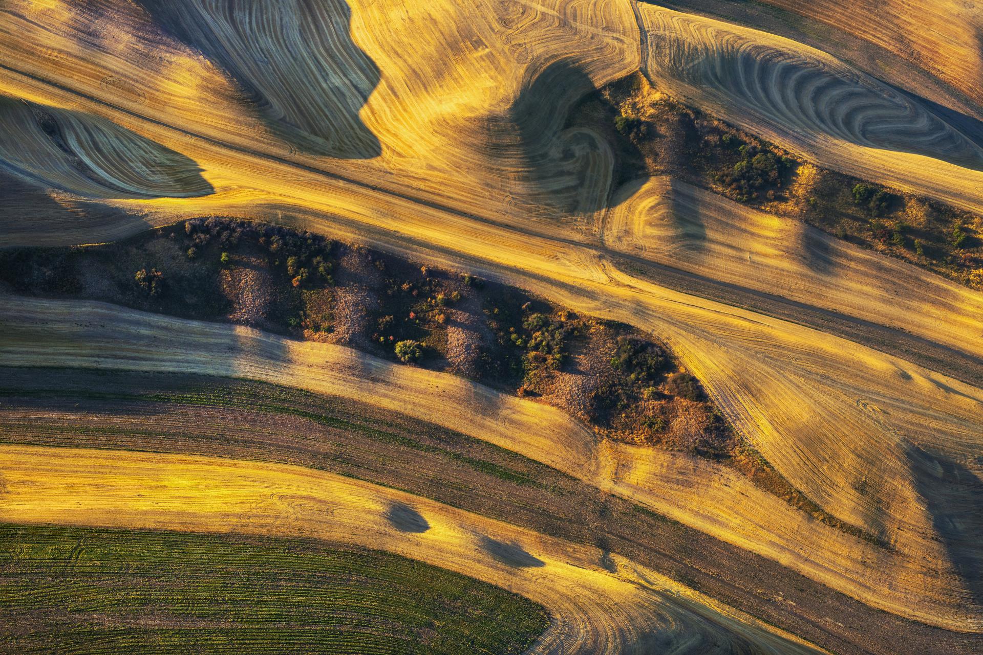 Earth, Becoming Painting #2617 Archival Pigment Print, Cavas 60 x 90cm, 2026.jpg