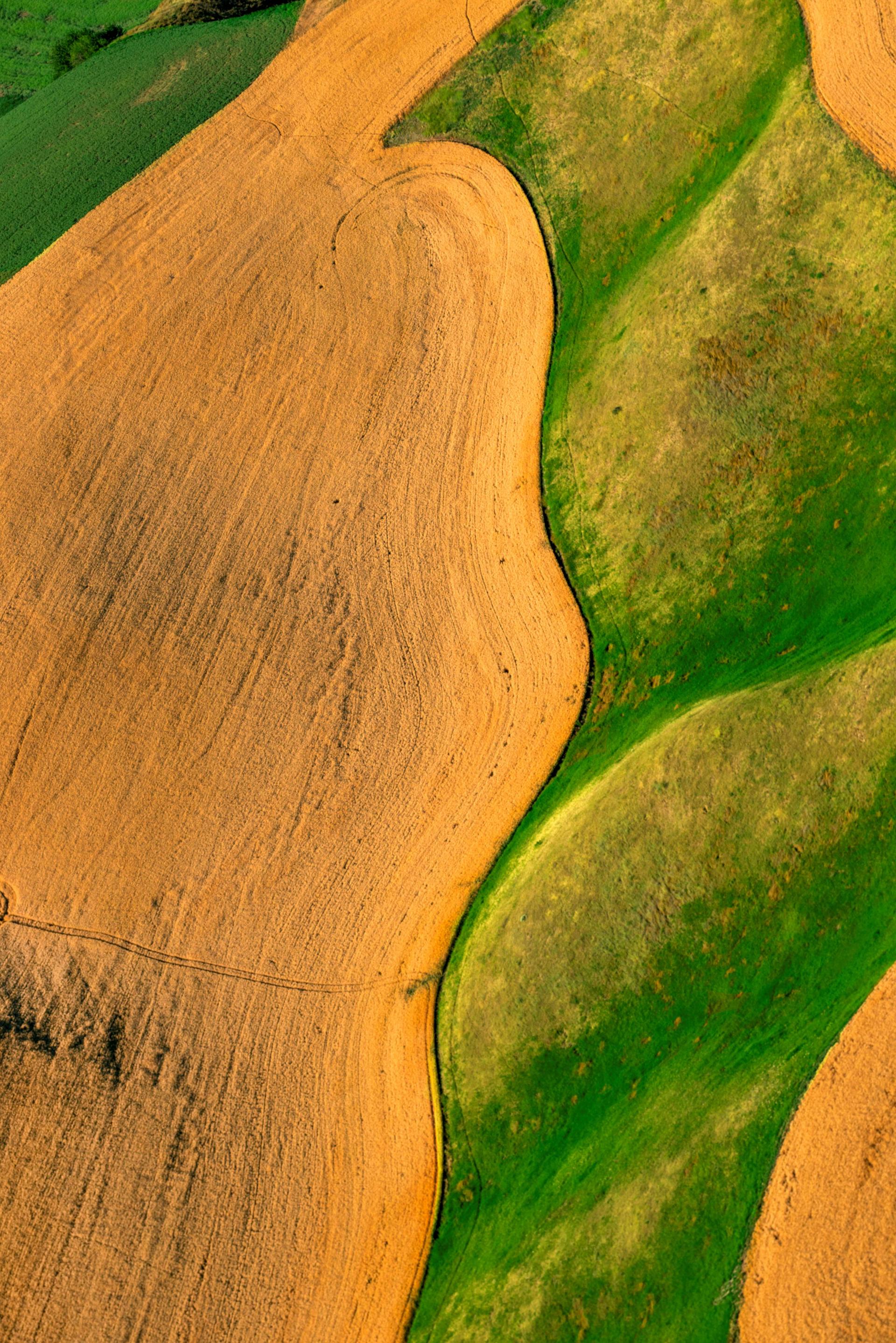 Earth, Becoming Painting #2606 Archival Pigment Print 60 x 90cm, 2026.jpg