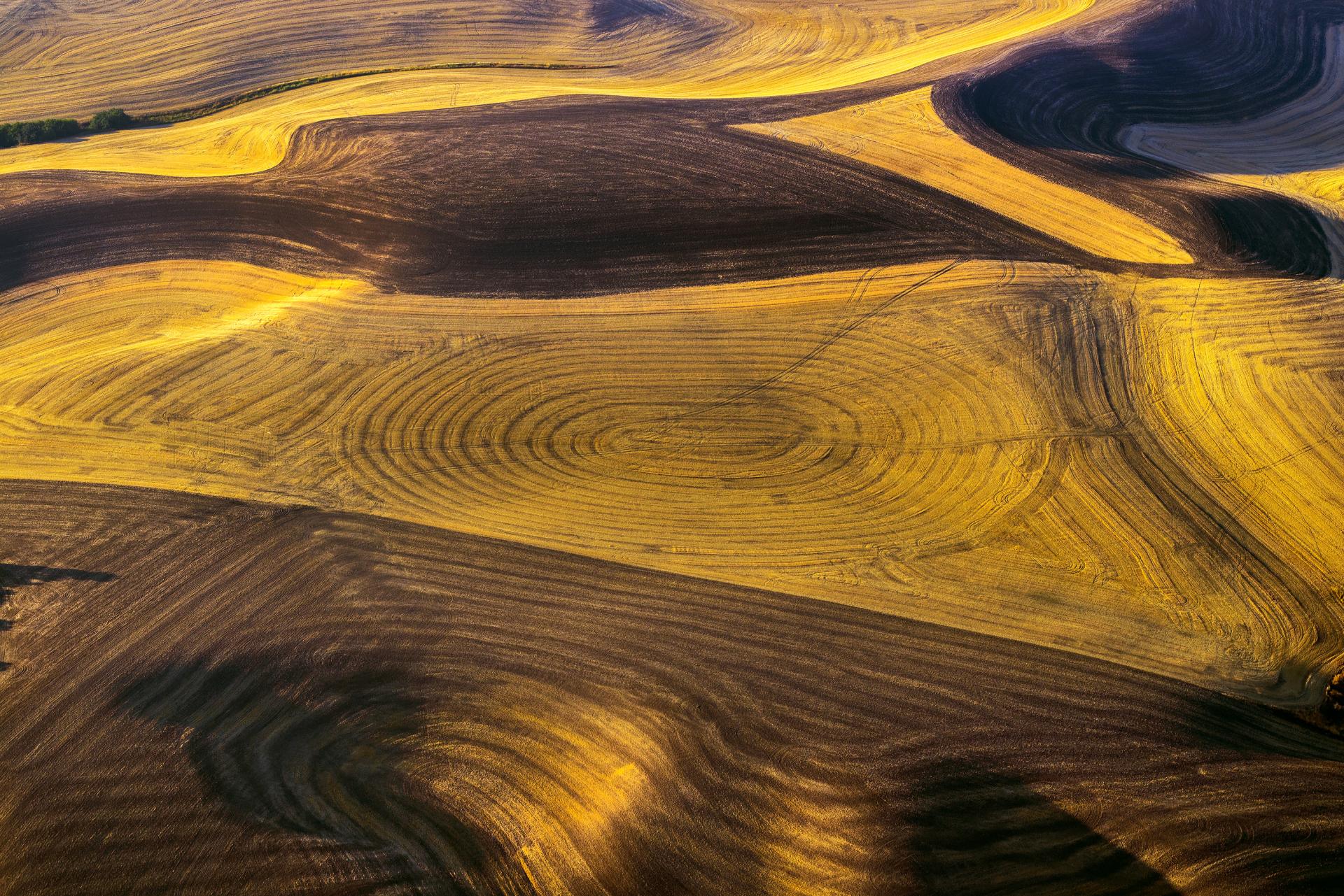 Earth,Becoming Painting #2620  Archival Pigment Print, Canvas  80 x 120cm, ~.jpg