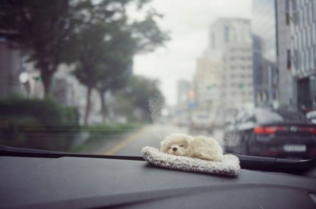 a419ae12202d3.png