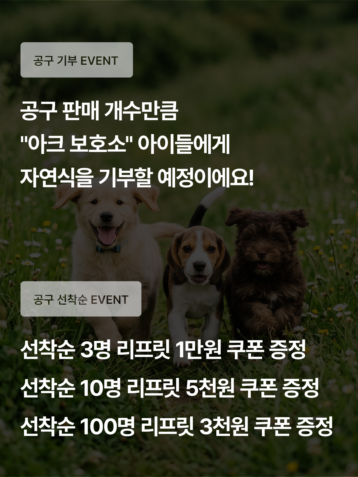 🍀[랑이 기부 공구특가] 2+1 저나트륨/심장 리프릿 동결건조자연식 말고기 홀스 + 크리미스틱 2포 무료증정