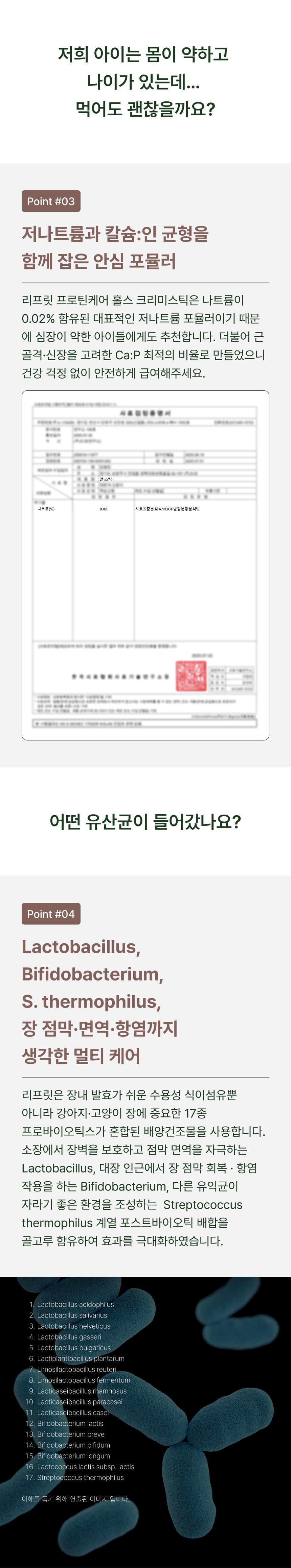 [단백질보충/활력/유산균] 리프릿 프로틴케어 홀스 크리미스틱