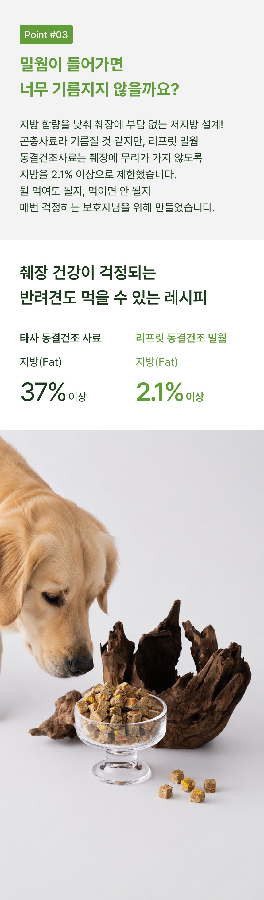 [도매] 하이포알러지/신장/췌장 리프릿 동결건조 밀웜🐛(2026.06 재출시 예정)