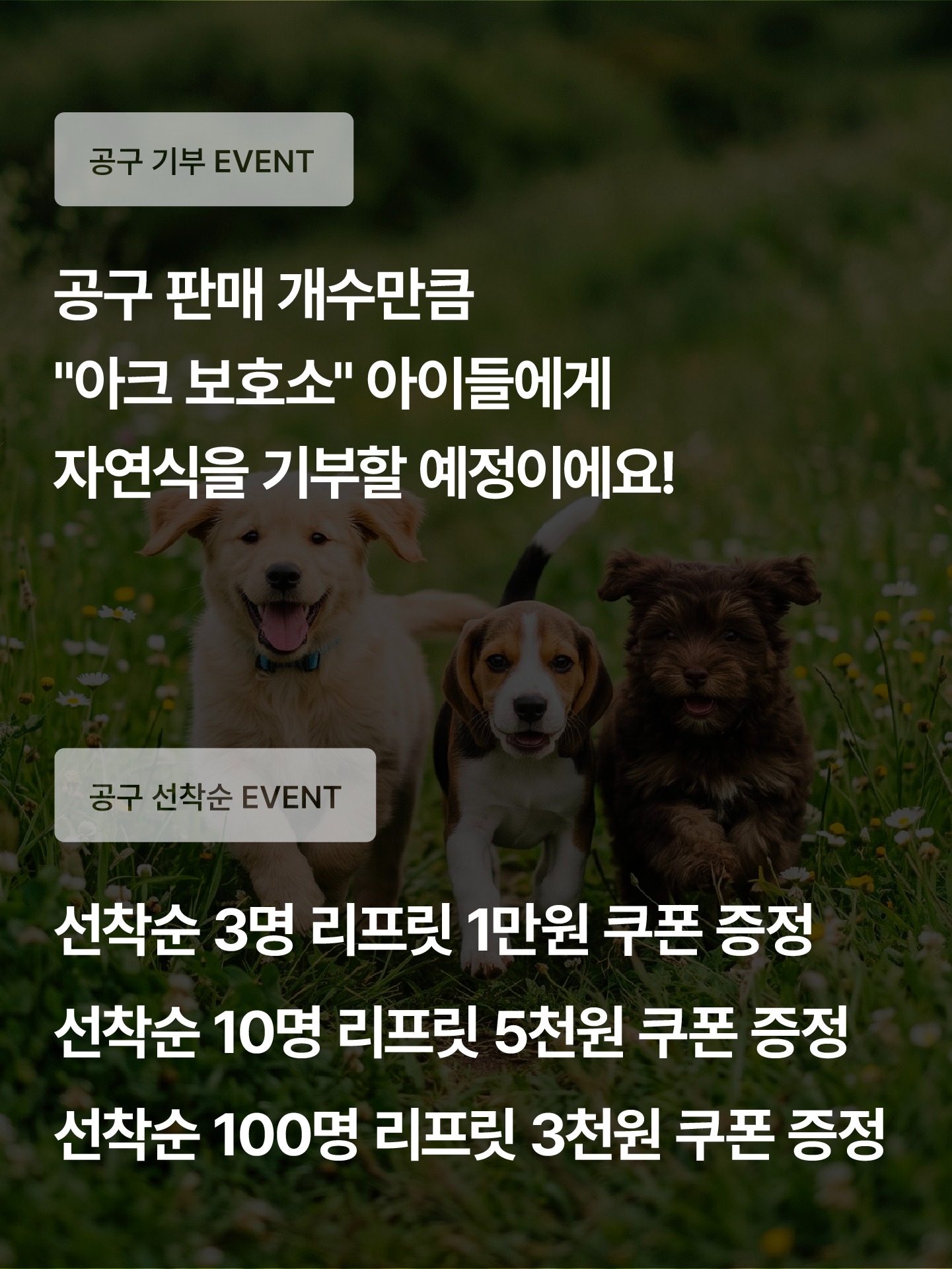 🍀[랑이 기부 공구특가] 2+1 저나트륨/심장 리프릿 동결건조자연식 말고기 홀스 + 크리미스틱 2포 무료증정