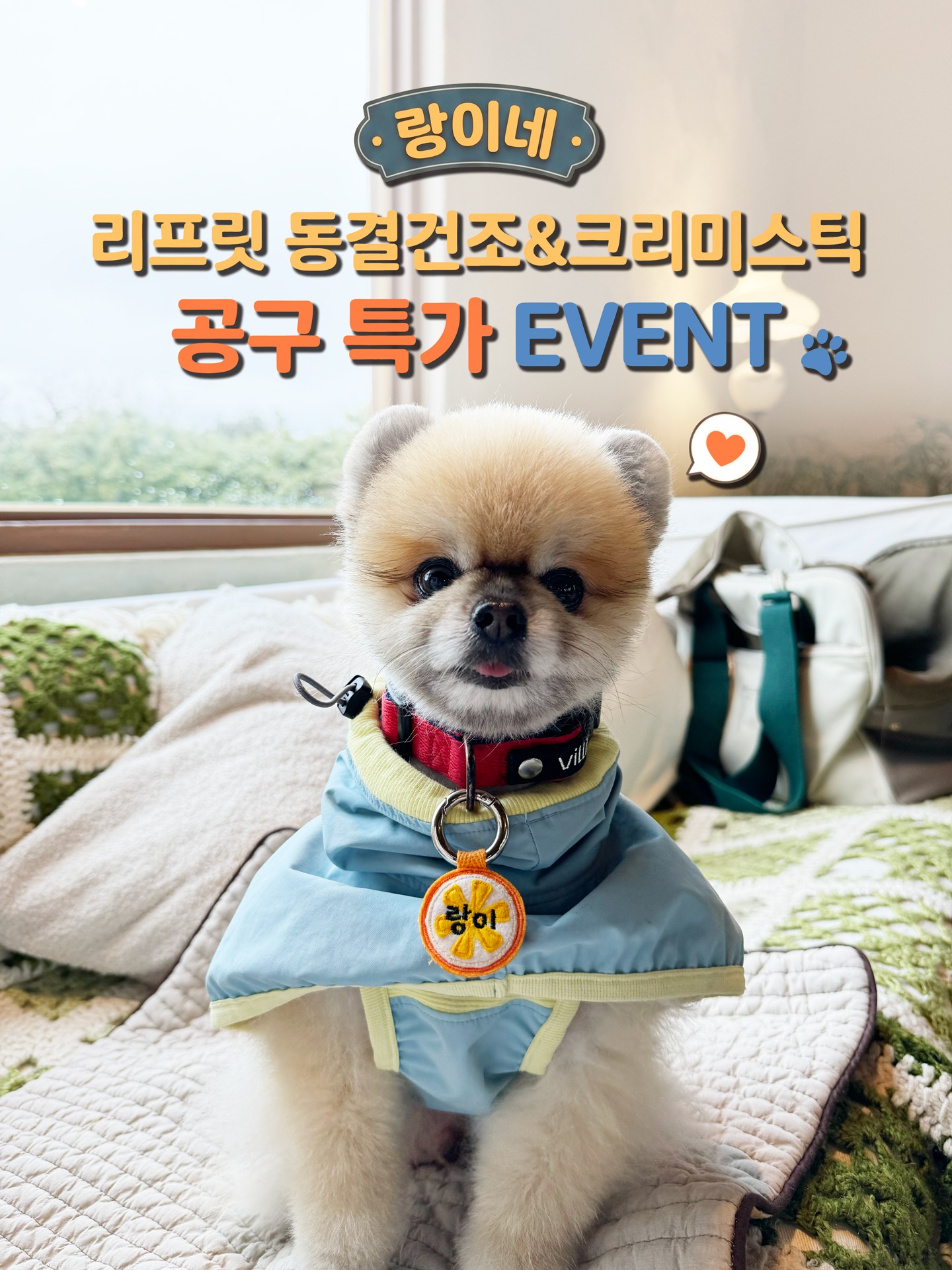 🍀[랑이 기부 공구특가] 2+1 저나트륨/심장 리프릿 동결건조자연식 말고기 홀스 + 크리미스틱 2포 무료증정