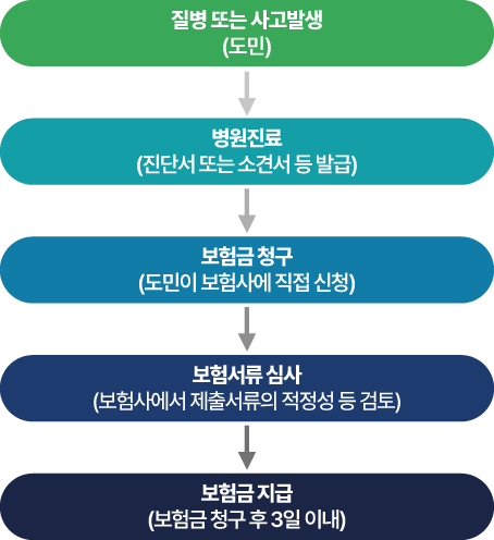 질병 또는 사고발생(도민) / 병원진료(진단서 또는 소견서 등 발급) / 보험금 청구(도민이 보험사에 직접 신청) / 보험서류 심사(보험사에서 제출서류의 적정성 등 검토) / 보험금 지급(보험금 청구 후 3일 이내)