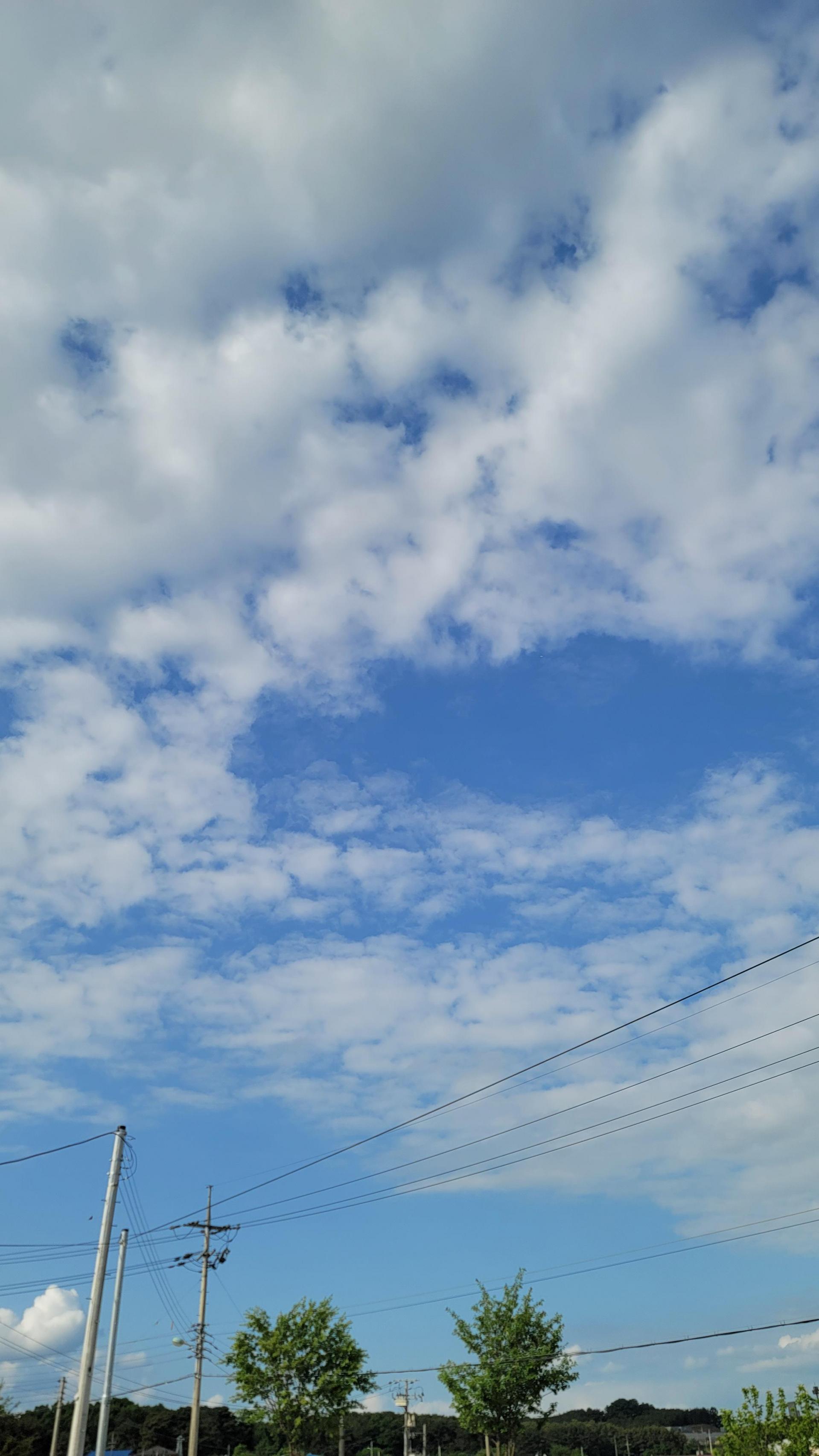 f3c26d44091ad.jpg