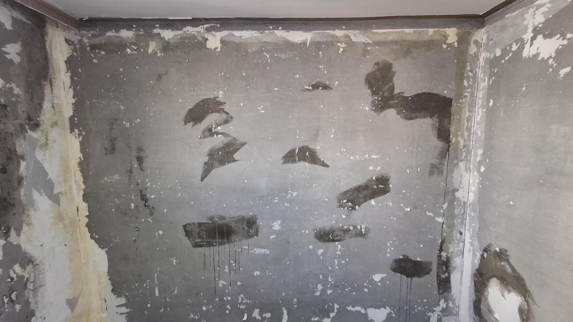 2철거후곰팡이제거방제작업 (6).jpg