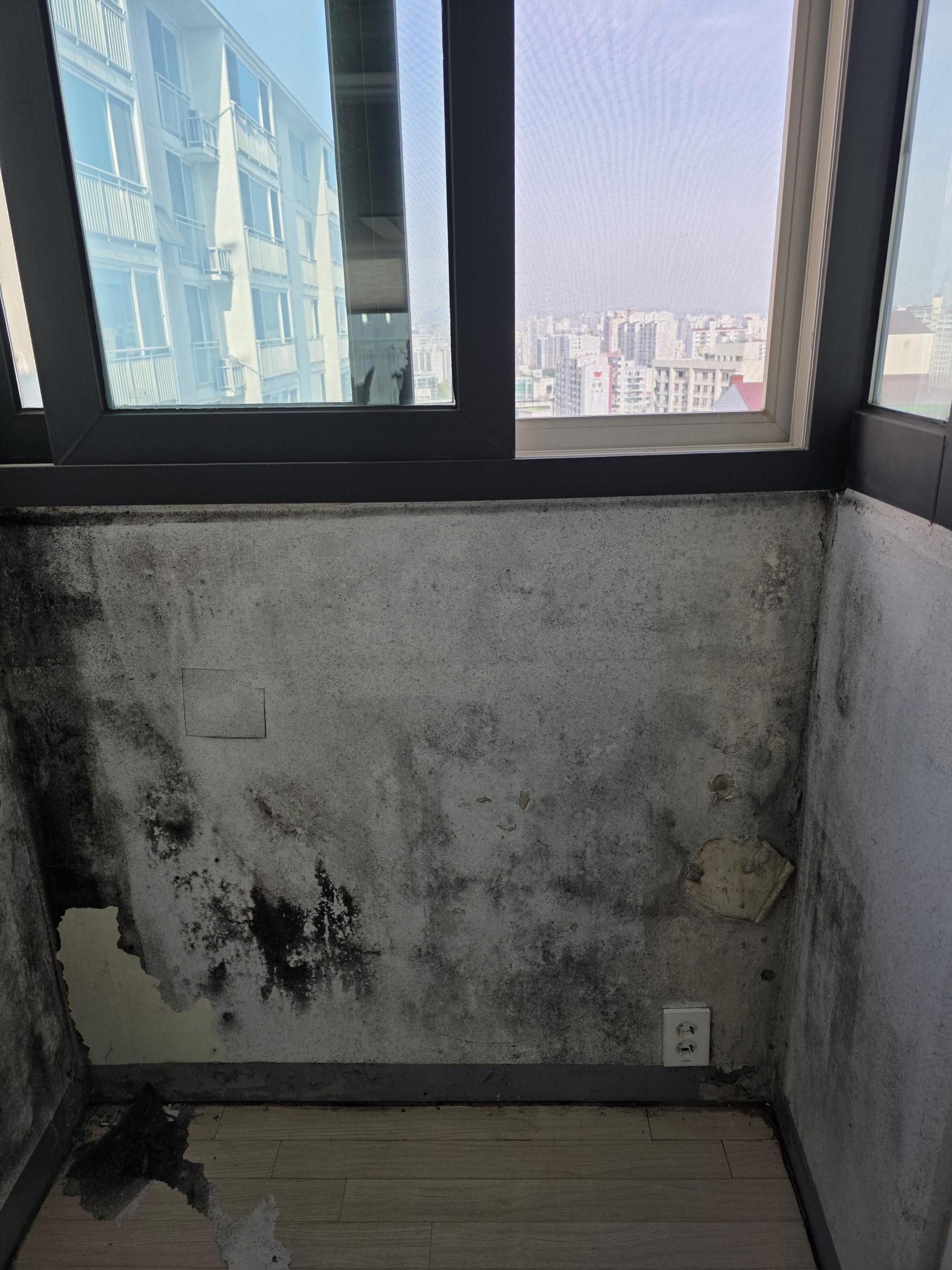 KakaoTalk_20251108_191348298_02.jpg