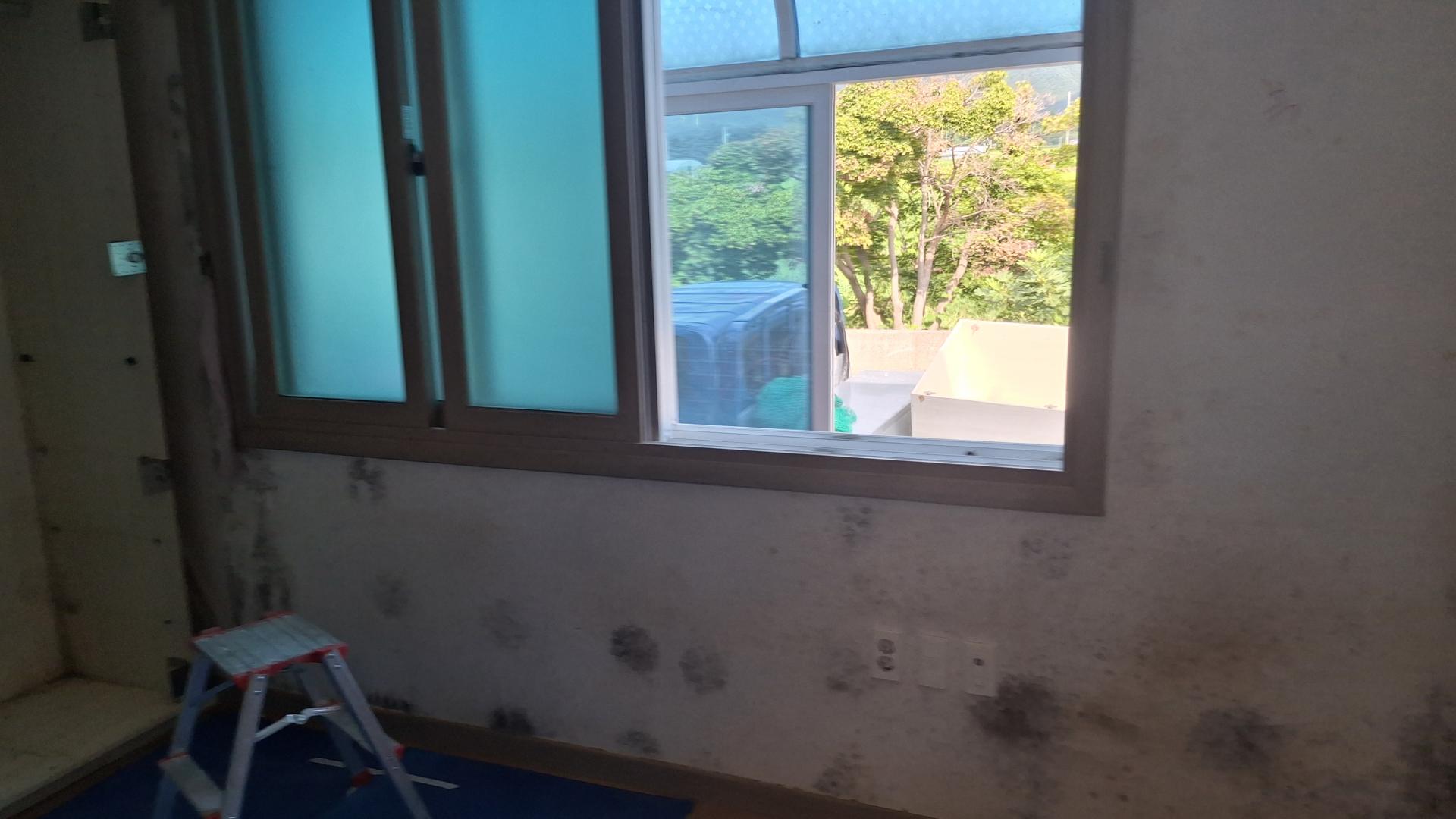 KakaoTalk_20250903_135515999_01.jpg