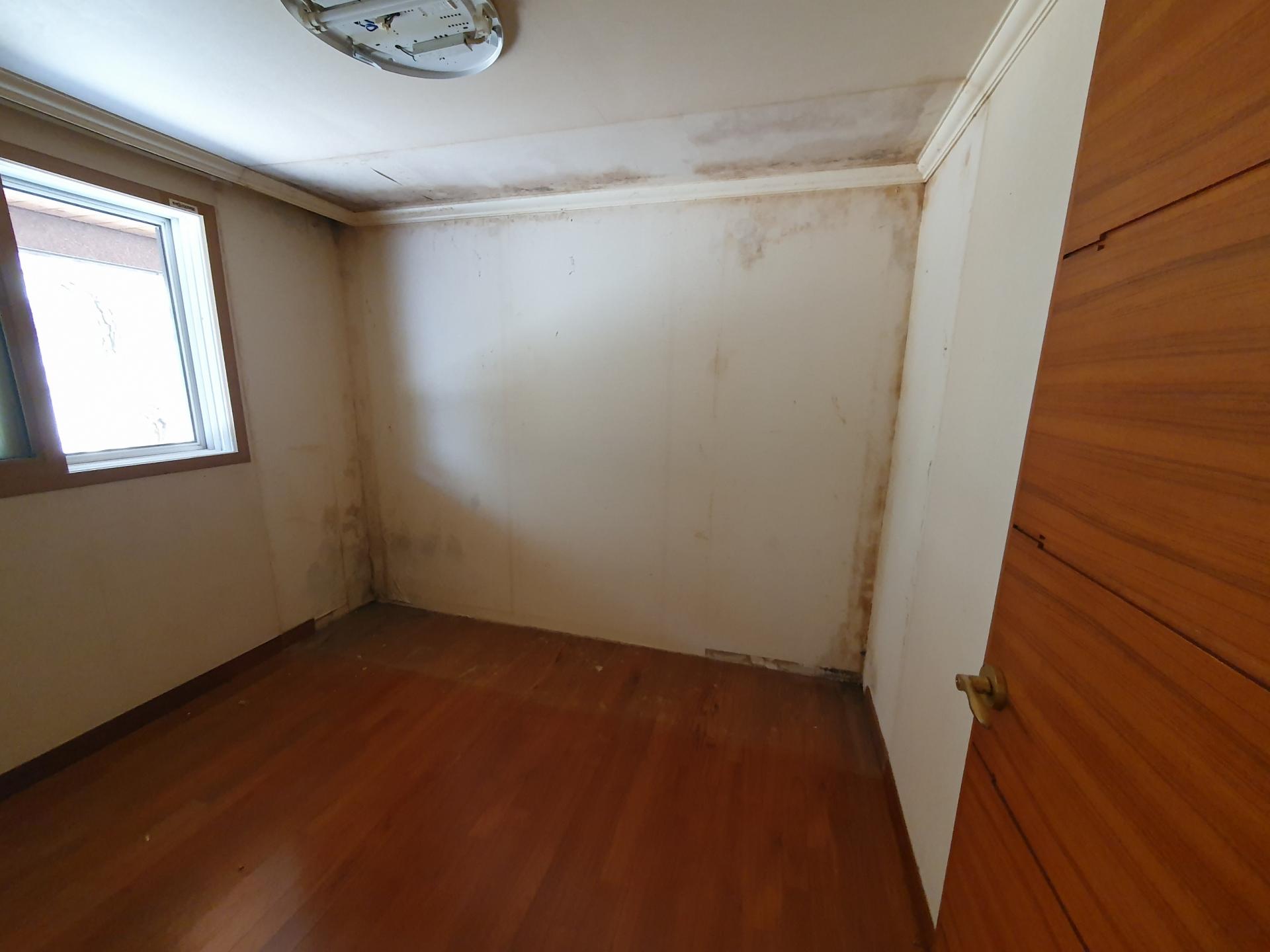 1시공전 (2).jpg