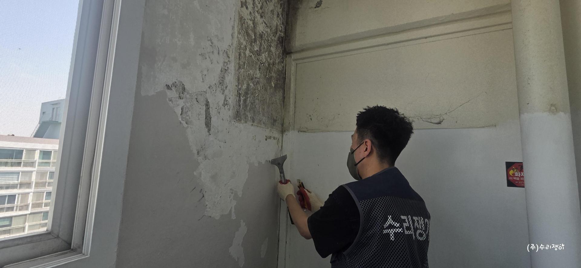 2기존페인트 제거 (86).jpg