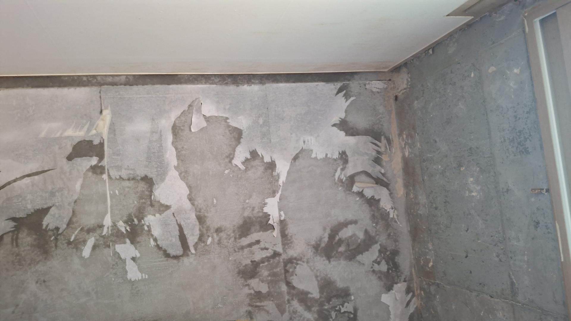 KakaoTalk_20250903_135527134_02.jpg
