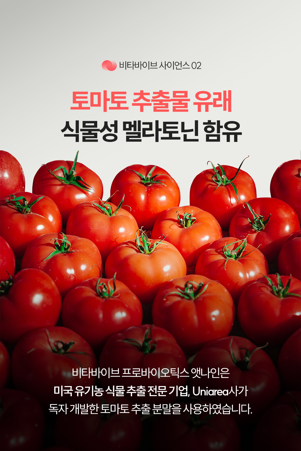 [해외] 채정안 슬립블렌드 (트레온산 마그네슘+비타바이브 유산균)