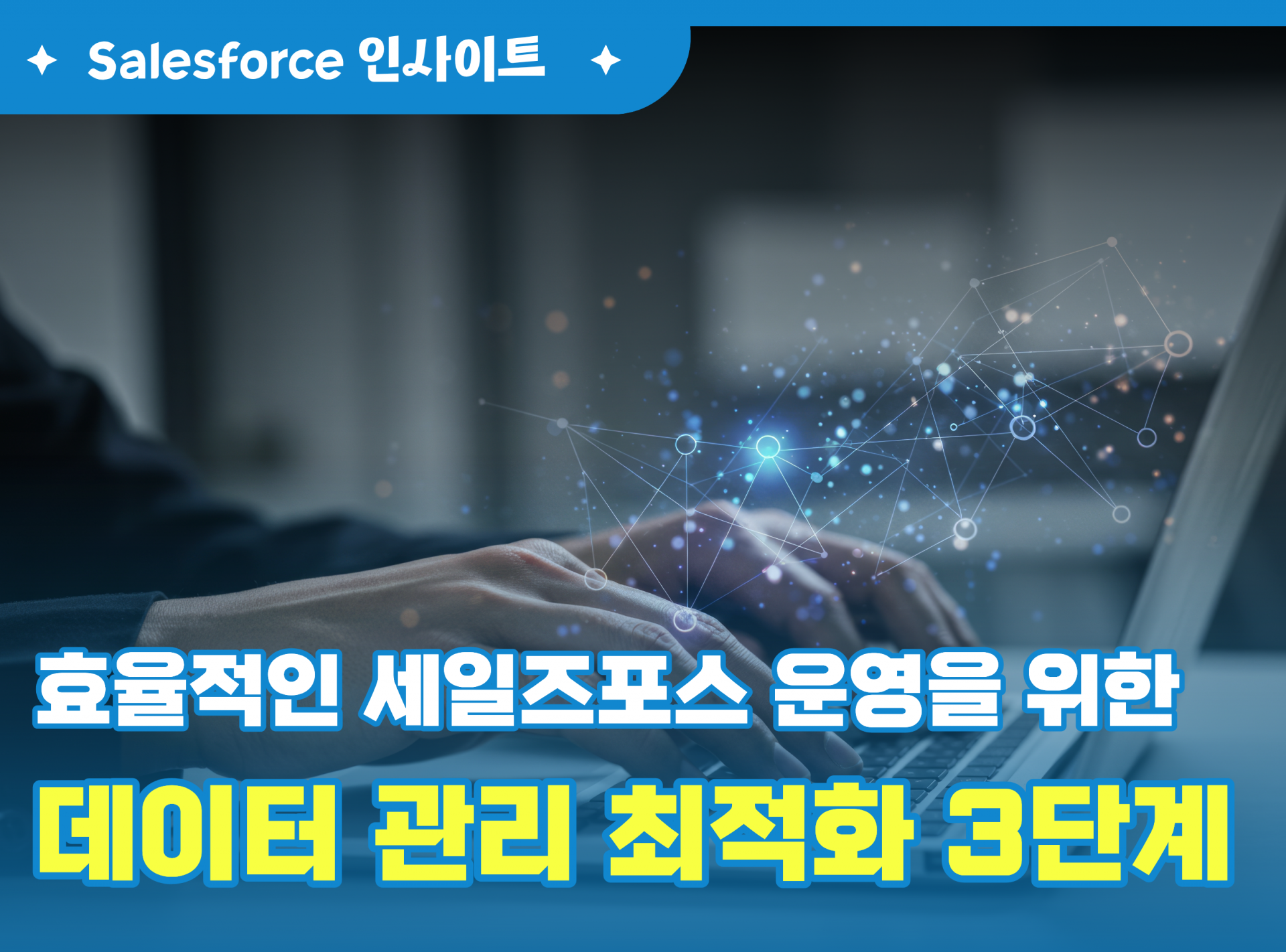 세일즈포스 운영을 위한 데이터 관리 최적화.png