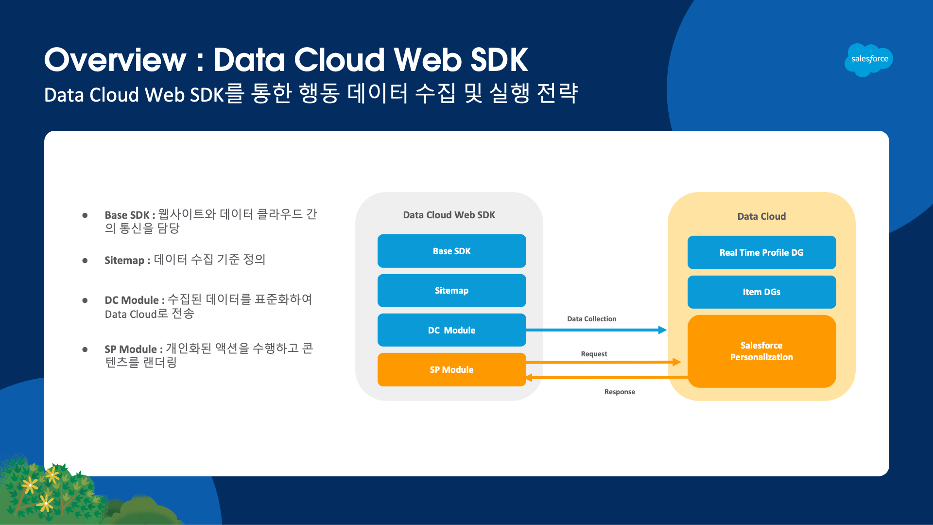 Data Cloud Web SDK를 통한 행동 데이터 수집 및 실행 전략