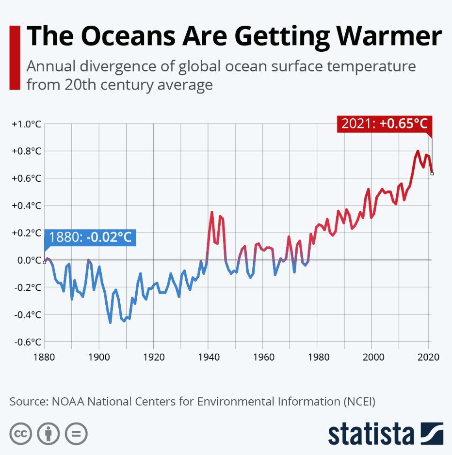 기후위기 이야기 #7 따뜻한 바다 : 숲사이 이야기