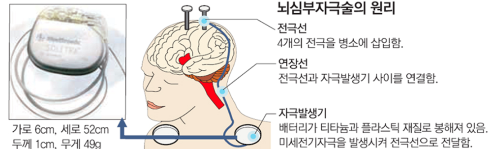 6a26485373f40.png