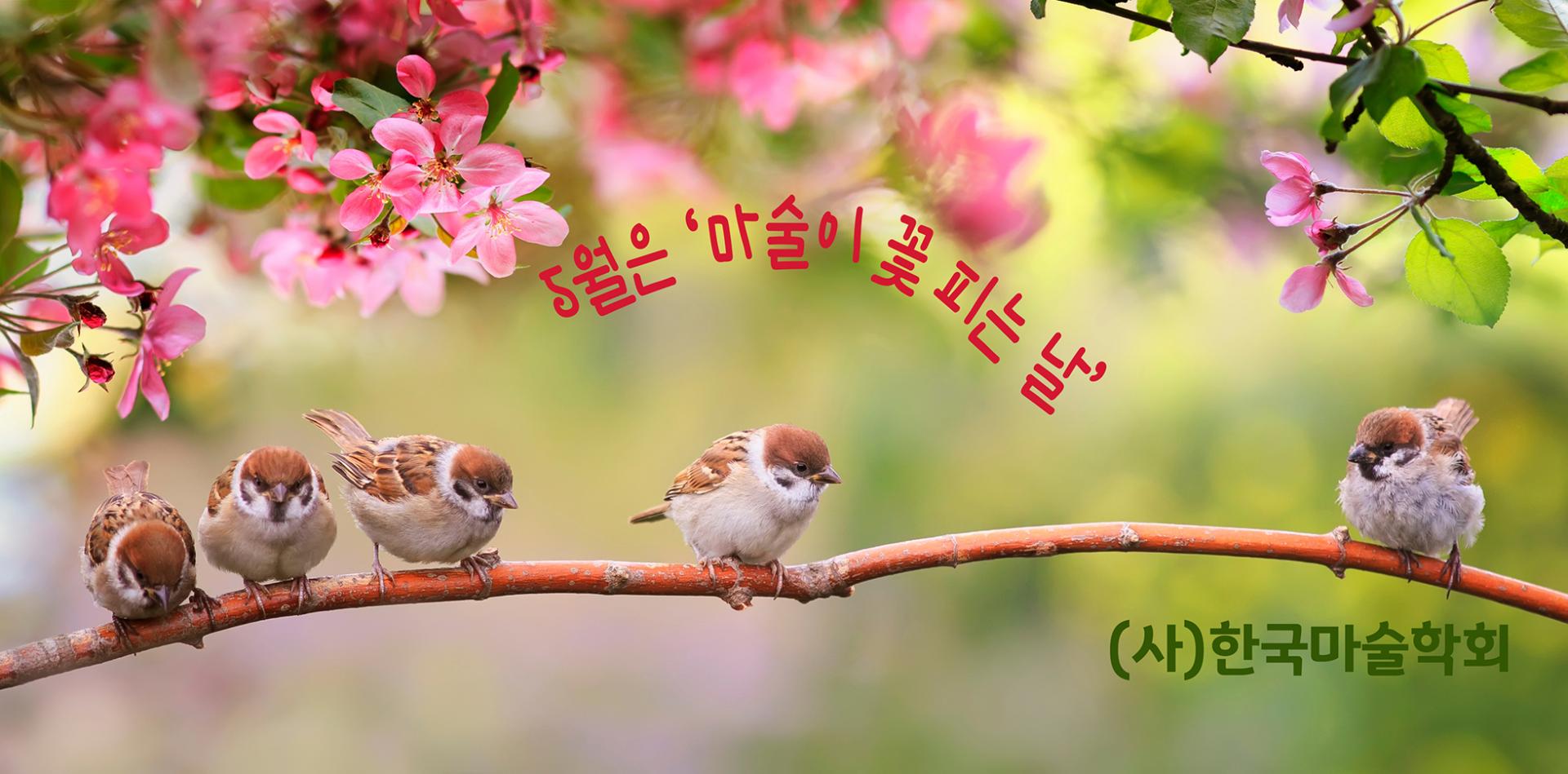 379b99fc04ecc.jpg